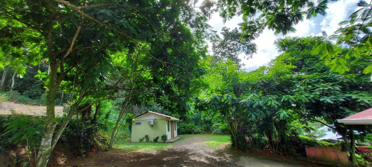 Hostal Y Cabinas Anita-And Rafting Tour! Siqurres Da Alegria ภายนอก รูปภาพ