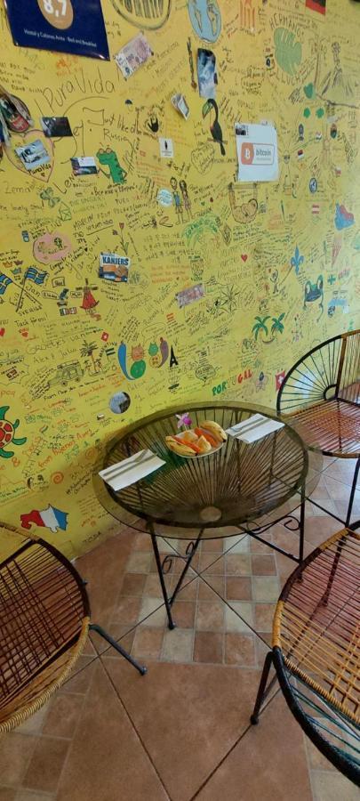 Hostal Y Cabinas Anita-And Rafting Tour! Siqurres Da Alegria ภายนอก รูปภาพ