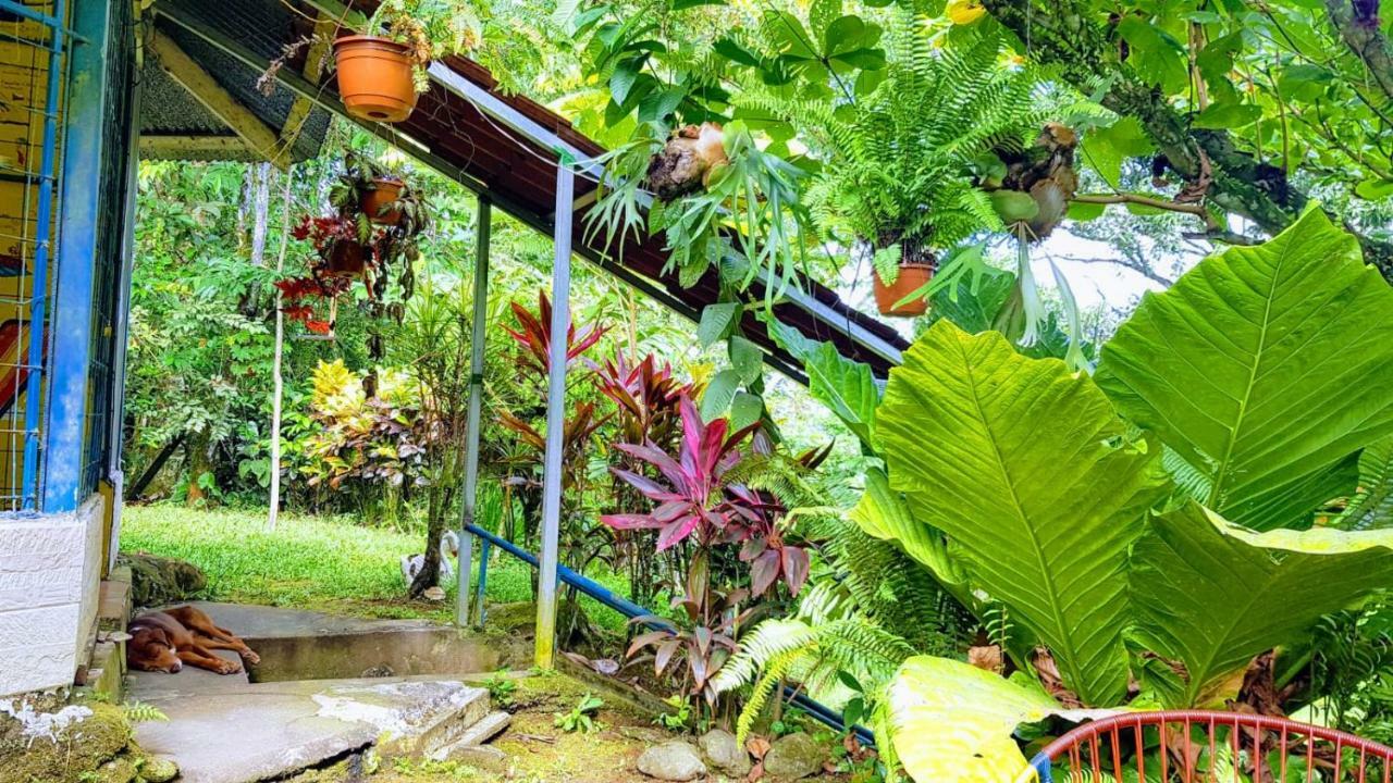 Hostal Y Cabinas Anita-And Rafting Tour! Siqurres Da Alegria ภายนอก รูปภาพ